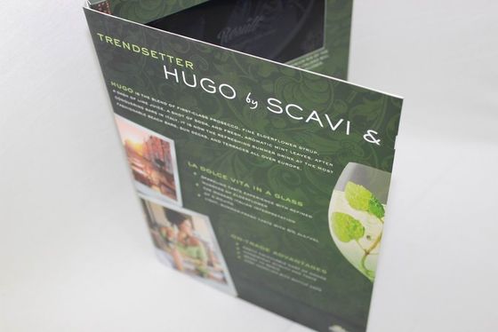 Fastival Gift LCD Video Brochure With 2GB Memory , 10.1 Inch Lcd Video Greeting Card